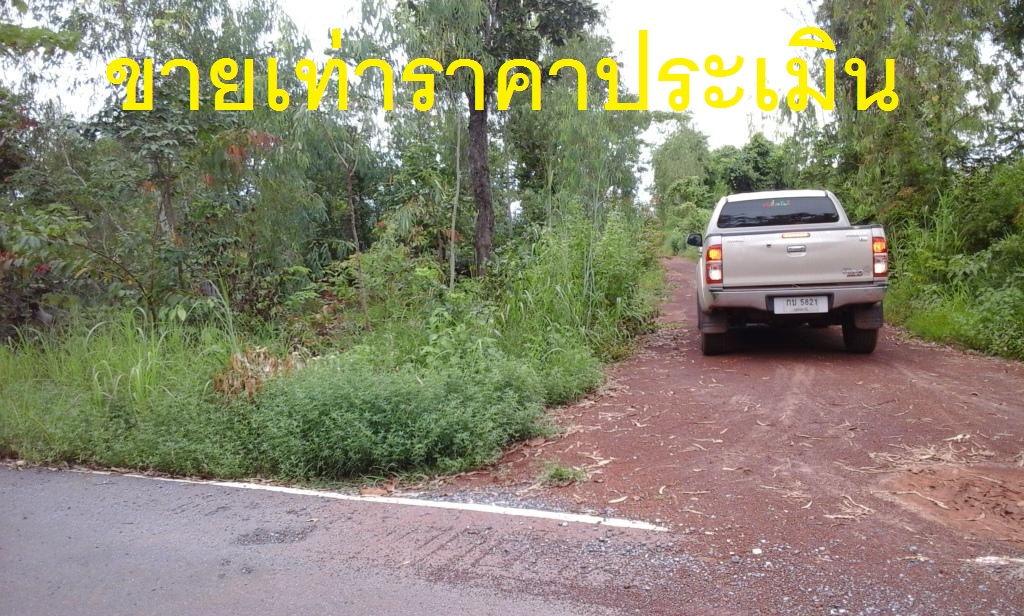ขายที่ดิน 6-3-22 THB850,000 บ้านหินโงม สร้างคอม อุดร
